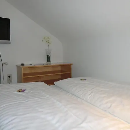 International Boarding House Wurzburgo
