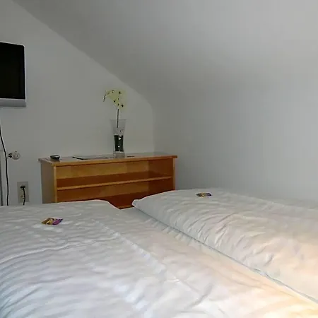International Boarding House Hotel apartamentowy Würzburg